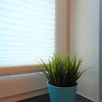 Apartmán Haus Strandperle We 02