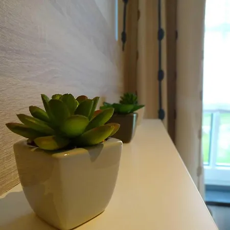 Haus Strandperle We 02 Apartment